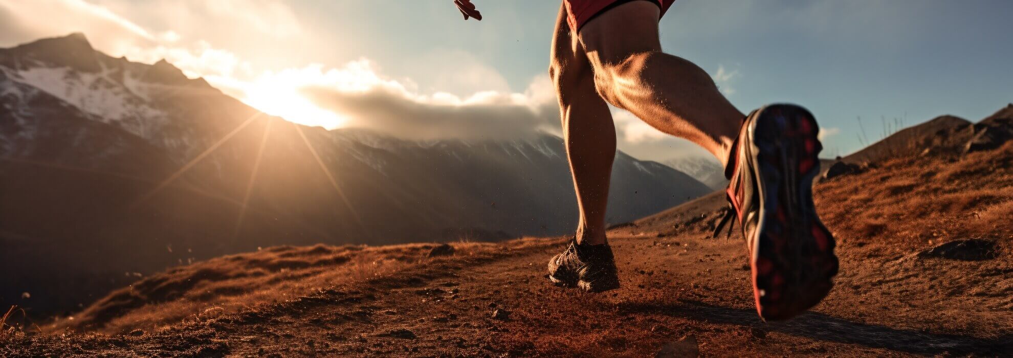 Basecamp Physical Therapy & Performance